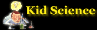 [Science For Kids]